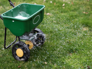 Lawn Maintenance Tips